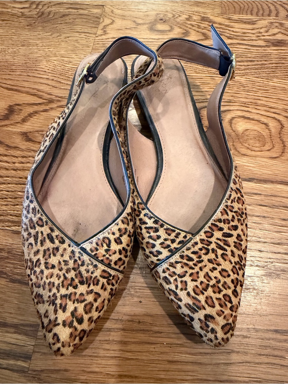 Caslon Leopard-Print Pointed Slingback Flats in Brown and Black